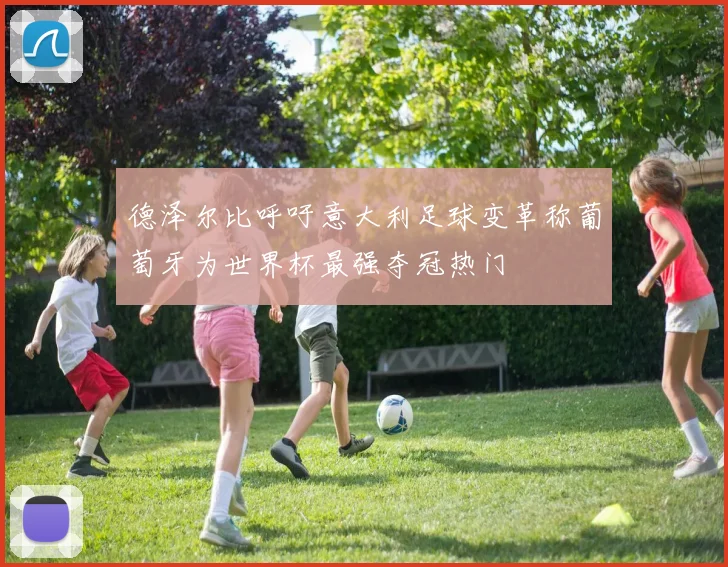 德泽尔比呼吁意大利足球变革称葡萄牙为世界杯最强夺冠热门